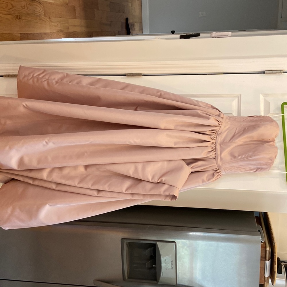 Formal Blush Pink Gown